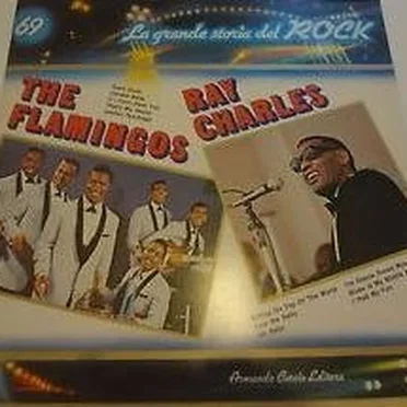 The Flamingos / Ray Charles (La grande storia del rock)
