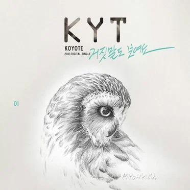 I Can See Your Lies