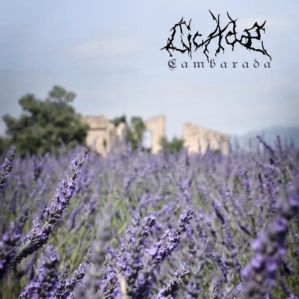 Cambarada / Cicadæ Split