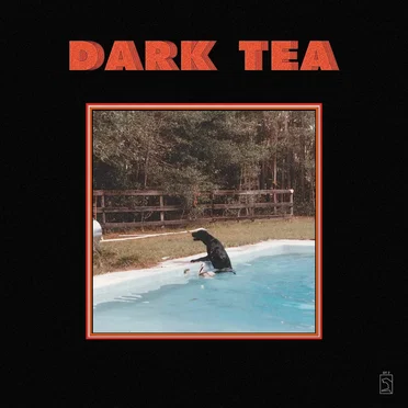 Dark Tea by Dark Tea - album cover