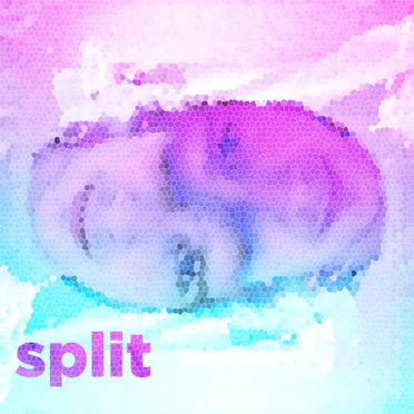 Split EP