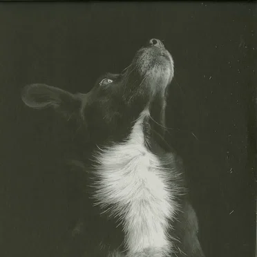 Catchpenny & Cosmos EP