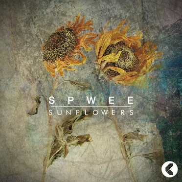 Confession / Sunflowers by Spwee - album cover
