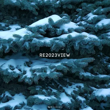 Re2023view by DP-6 - album cover