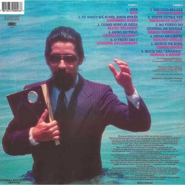 Raul Seixas: O início, o fim e o meio by Various Artists - album cover