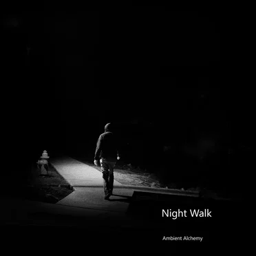 Night Walk by Ambient Alchemy - album cover