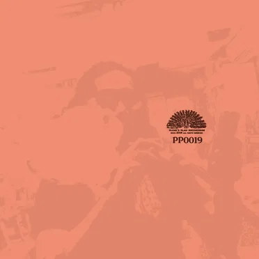 Se una notte d'inverno un viaggiatore