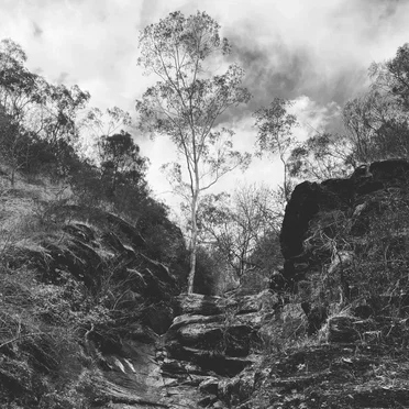 Picturesque Ruins