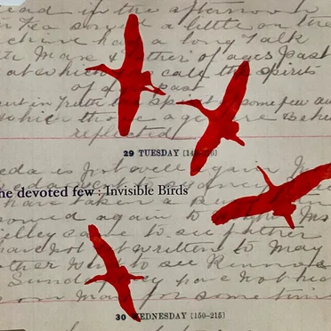 Invisible Birds