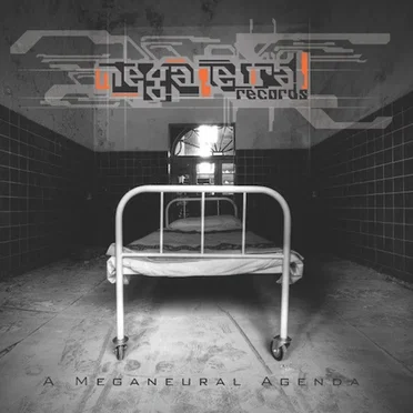 A Meganeural Agenda by Various Artists - album cover