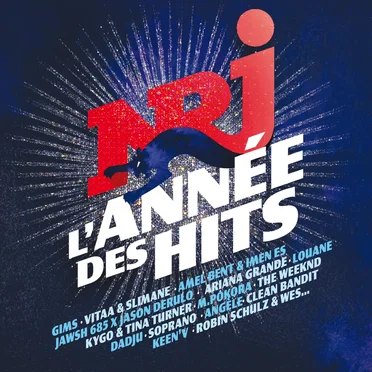 NRJ L’Année des hits by Various Artists - album cover
