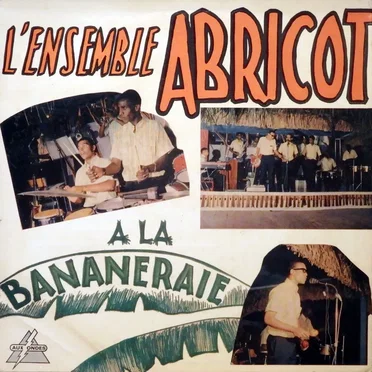 L'Ensemble Abricot