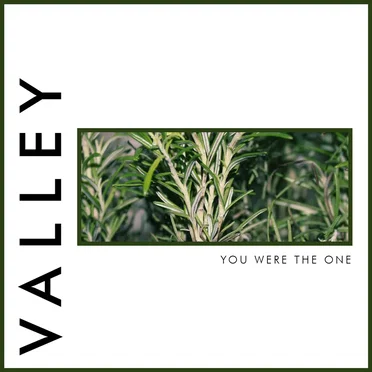 You Were The One by Valley - album cover