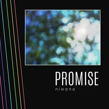Promise
