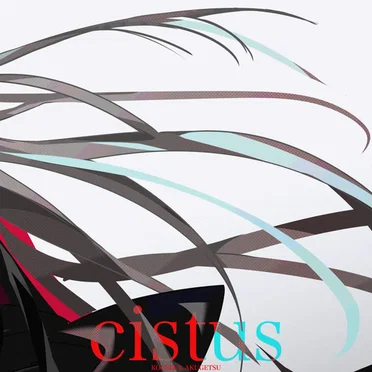Cistus