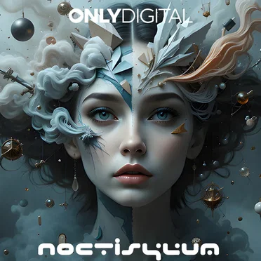 Shapes i Know by Noctisylum - album cover