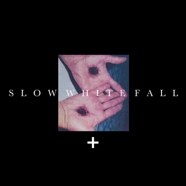 Flesh in the Modern Age by Slow White Fall - album cover