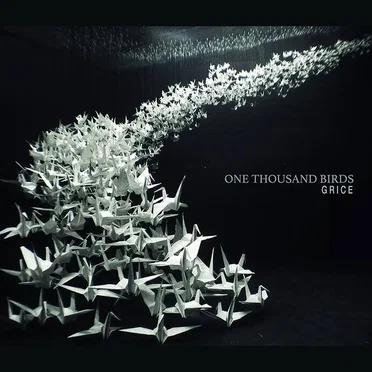 One Thousand Birds