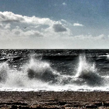 TideHead