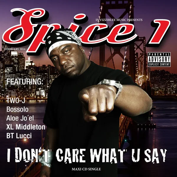 I Don't Care What You Say