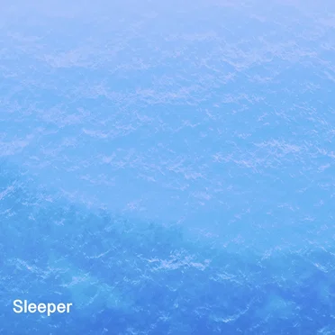 Sleeper