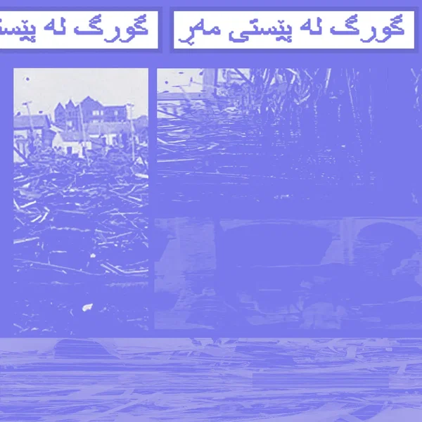 گورگ لە پێستی مەڕ