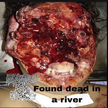 Found Dead in a River by Death by Hornets - album cover