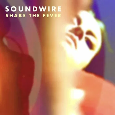 Shake the Fever (radio edit)