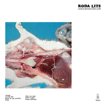 Common Specimen / Indoor Mold by Roda Lits - album cover