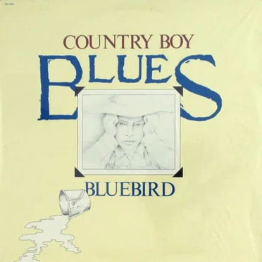 Country Boy Blues by Bluebird - album cover