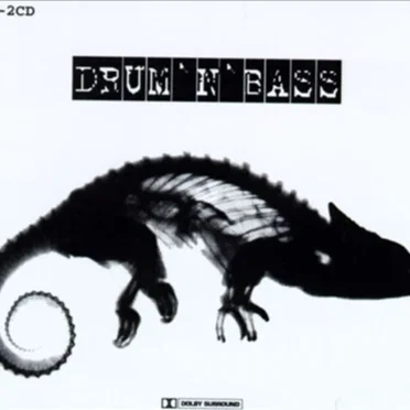 Drum ’n’ Bass by Various Artists - album cover
