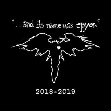 2018–2019
