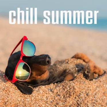chill summer by Various Artists - album cover