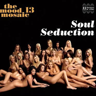 The Mood Mosaic 13: Soul Seduction by Various Artists - album cover