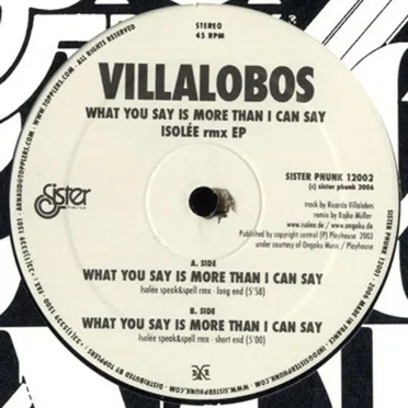What You Say Is More Than I Can Say (Isolée remix EP)