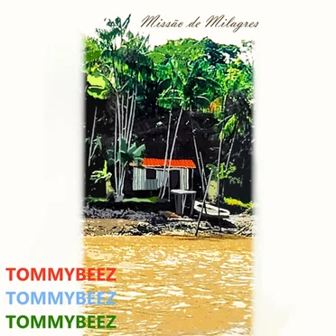 Missão de Milagres