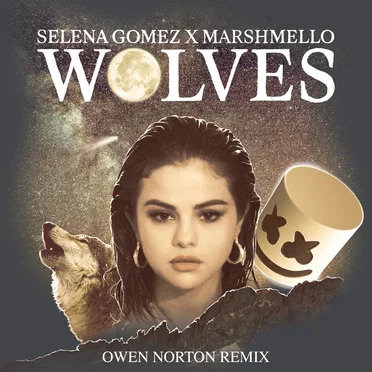 Wolves (Owen Norton remix)
