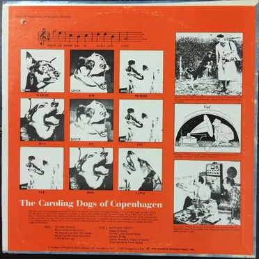 Singing Dogs by The Singing Dogs - album cover