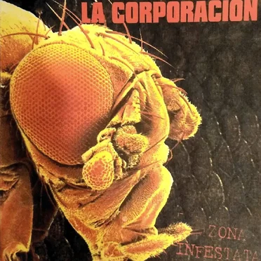 Zona infestata