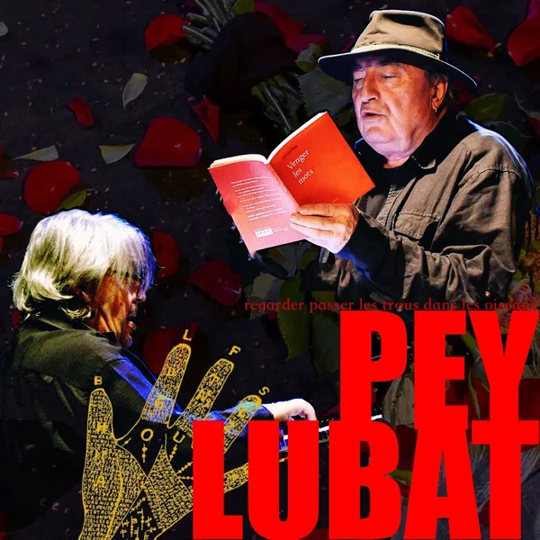 Regarder passer les trous dans les oiseaux