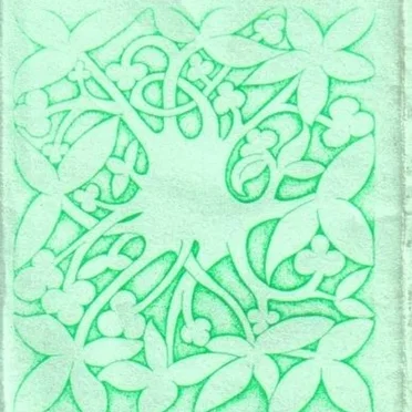 Thorny Bush by Big Bag of Sticks - album cover