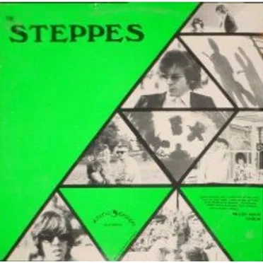 The Steppes by The Steppes - album cover