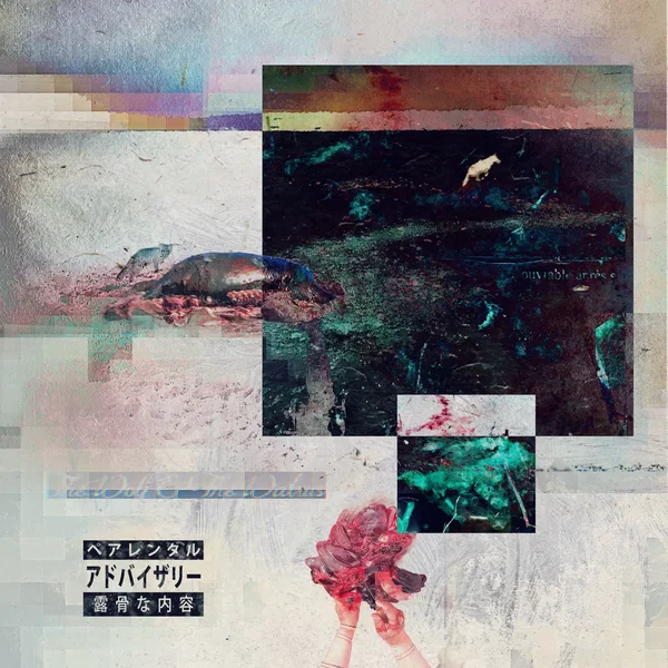 The Wolf & the Walrus