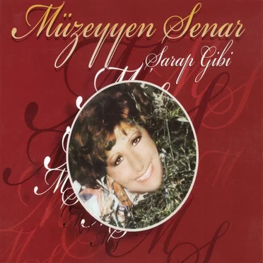 Şarap Gibi