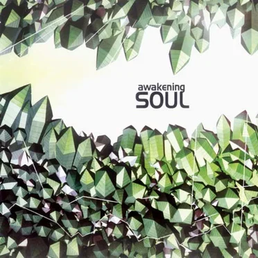 Awakening Soul by Various Artists - album cover