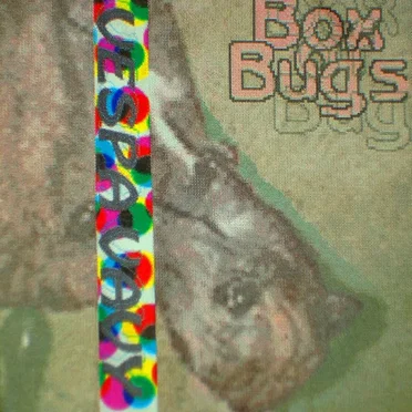 Vespa Vavy by Box of Bugs - album cover