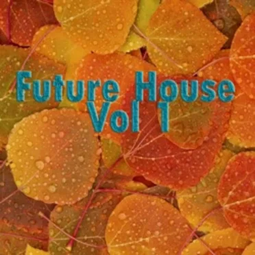 Future House, Vol. 1 by Various Artists - album cover