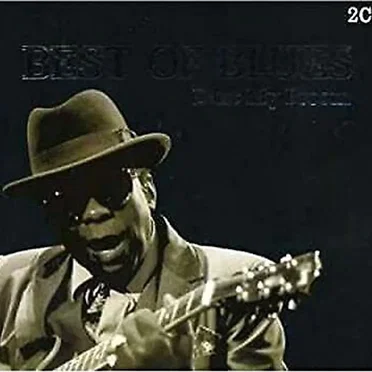 Best of Blues: Dust My Broom by Various Artists - album cover