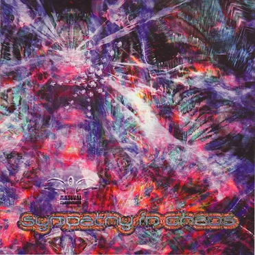 Sympathy In Chaos by Various Artists - album cover