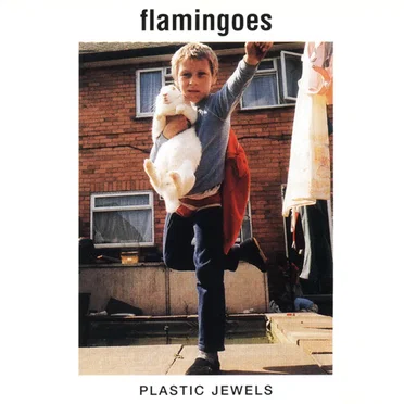 Plastic Jewels by flamingoes - album cover